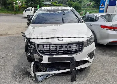 2019, Kia / Carnival, VIN: KNAME81ABKS512550, 89472 км., diesel