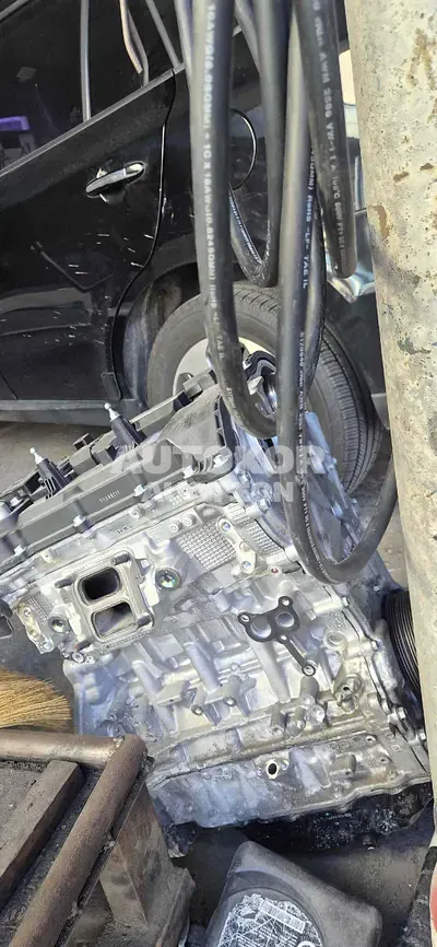2024, Kia / Sorento, VIN: KNARM81FHSA319719, gas