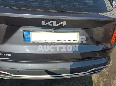 2023, Kia / Sorento, VIN: KNARH81BGPA171710, diesel, 2200 куб.см.