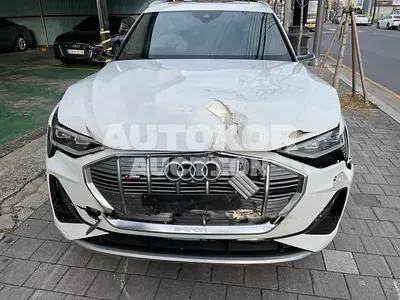 2021, Audi / e-tron, VIN: WAUZZZGE4MB043881, electric