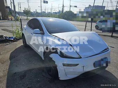 2026, Tesla / Model Y, 1300 км., electric