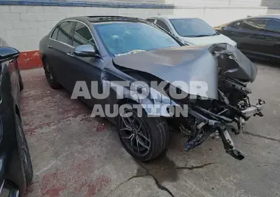 2021, Mercedes-Benz / E 220, VIN: W1KZF0FB5MA869584, 60424 км., diesel