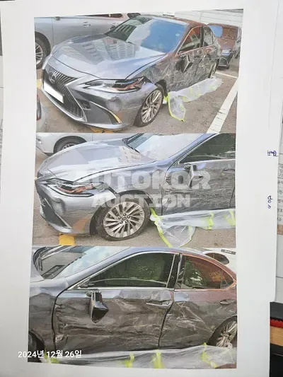 2019, Lexus / ES 300, VIN: JTHB21B17K2047370, hybrid