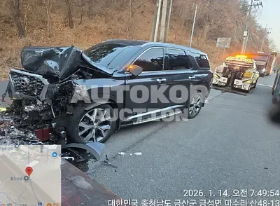 2021, Hyundai / Palisade, VIN: KMHR381ADMU249823, 94244 км., diesel, 2200 куб.см.