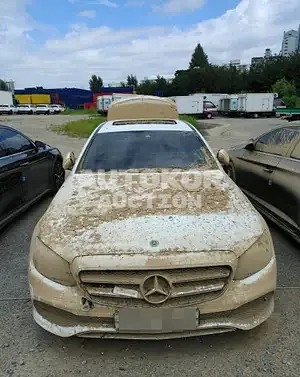 2019, Mercedes-Benz / E 300, gas