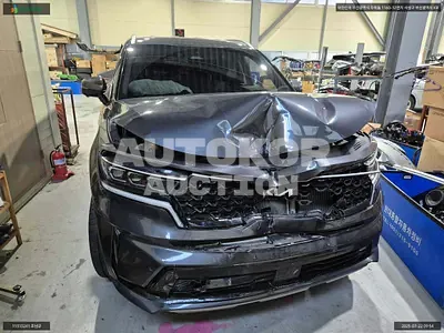 2021, Kia / Sorento, VIN: KNARF81FHNA130328, 217393 км., gas