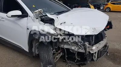 2019, Hyundai / Kona, VIN: KMHK281GFKU021044, 197465 км., electric