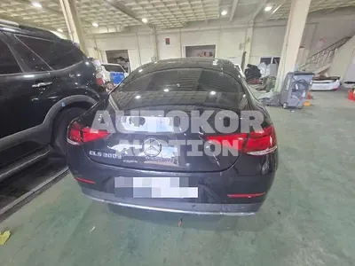 2019, Mercedes-Benz / CLS 300, diesel