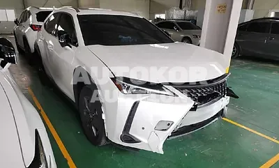 2024, Lexus / UX 250, VIN: JTHP6JBH0R2165245, 2900 км., hybrid