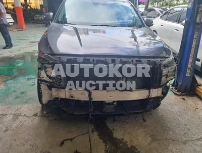 2021, Hyundai / Santa FE, VIN: KMHS281HGMU337006, 201679 км., diesel, 2200 куб.см.