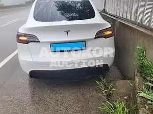 2022, Tesla / Model Y, VIN: 7SAYGDEE9NF499094, electric