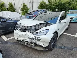 2020, Tesla / Model 3, VIN: 5YJ3E1EB3LF809738, 25000 км., electric, 225 куб.см.