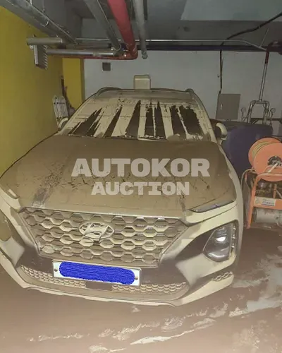 2019, Hyundai / Santa FE, VIN: KMHS381ABKU102827, gas