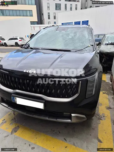 2024, Kia / Carnival, VIN: KNANE81ABRS004505, hybrid, 1598 куб.см.