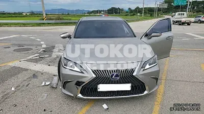 2019, Lexus / ES 300, VIN: JTHB21B15K2017848, hybrid