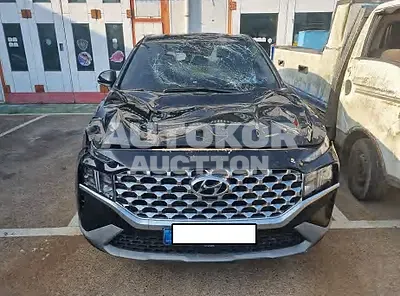 2021, Hyundai / Santa FE, VIN: KMHS281HGMU323845, diesel