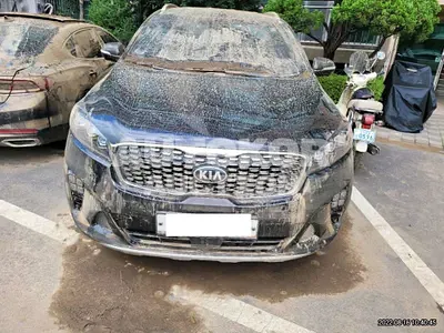 2018, Kia / Sorento, VIN: KNAPH81ABJA396412, 50000 км., diesel