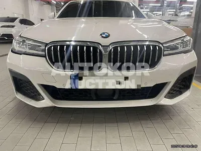 2022, BMW / 520, gas