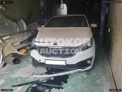 2016, Kia / Carnival, VIN: KNAMB81ABGS196391, 84817 км., diesel