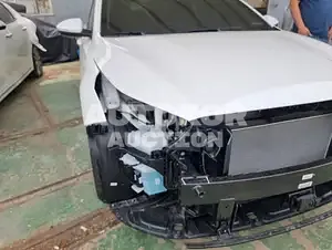 2022, BMW / Z1, VIN: KNAF241BENA945734, 1500 км., gas