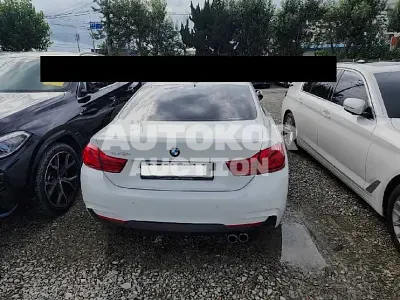 2018, BMW / 420, VIN: WBA4S3109JAG49464, 131751 км., gas