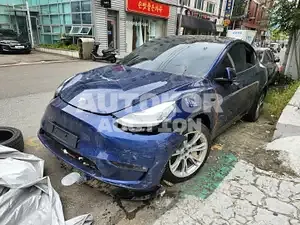 2021, Tesla / Model Y, VIN: 5YJYGDEE9MF225776, electric