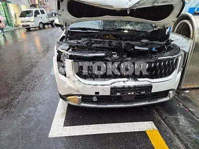 2024, Kia / Carnival, VIN: KNANC81BBSS515641, diesel, 2151 куб.см.
