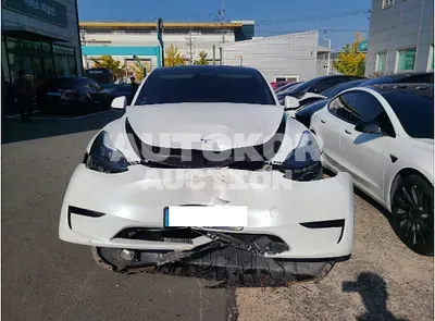 2024, Tesla / Model Y, VIN: LRWYGCFS1RC158655, 24384 км., electric