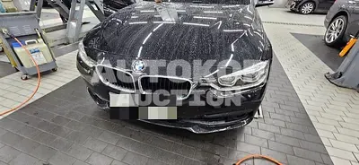 2017, BMW / 320, 66125 км., diesel