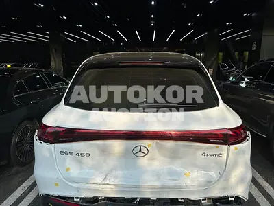 2024, Mercedes-Benz / S 450, VIN: W1NDM2EB0PA015784, electric