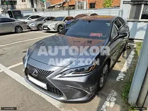 2020, Lexus / ES 300, VIN: JTHBA1C14M2000219, hybrid