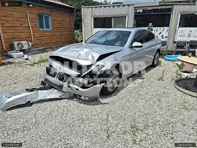 2015, BMW / 520, VIN: WBA5E7109FGK09698, 254066 км., diesel, 1995 куб.см.