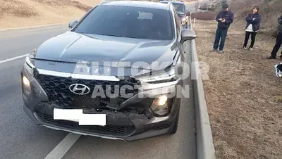 2019, Hyundai / Santa FE, VIN: KMHS281BBKU107541, 110370 км., diesel