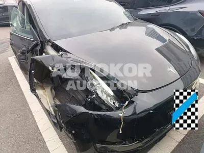 2022, Tesla / Model Y, VIN: 7SAYGDEE1NF566111, 18611 км., electric, 1 куб.см.