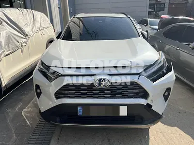 2023, Toyota / RAV4, hybrid, 2487 куб.см.