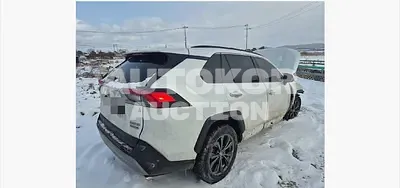 2023, Toyota / RAV4, hybrid, 2933 куб.см.