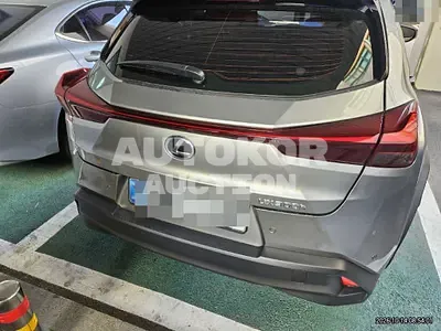 2025, Lexus / ux300h, 5100 км., hybrid