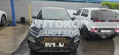 2018, Hyundai / Kona, 108169 км., gas, 1591 куб.см.
