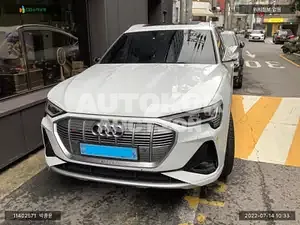 2021, Audi / e-tron, VIN: WEUZZZGE1NB003680, electric