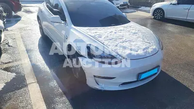 2020, Tesla / Model 3, VIN: 5YJ3E1EB3LF724902, 55004 км., electric, 1 куб.см.