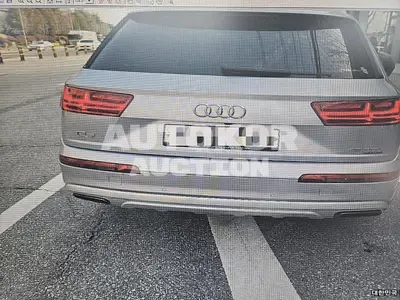 2019, Audi / Q7, 101866 км., gas