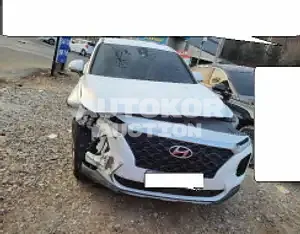 2019, Hyundai / Santa FE, VIN: KMHS281BBLU246831, 31811 км., diesel