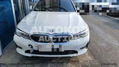 2019, BMW / 320, diesel