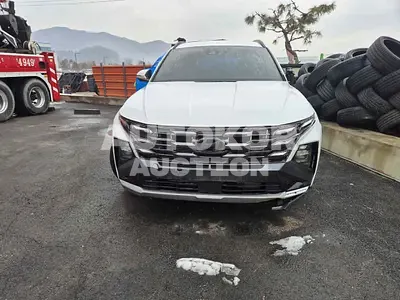 2024, Hyundai / Tucson, VIN: KMHJE81CBRU384698, 23640 км., diesel, 1998 куб.см.