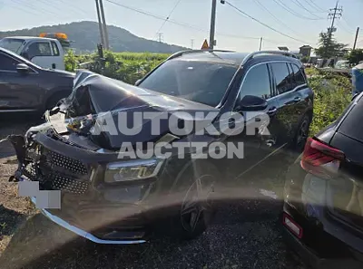 2024, Mercedes-Benz / B 250, 35874 км., gas