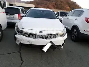 2015, Kia / K5, VIN: KNAGS416BGA039069, lpg