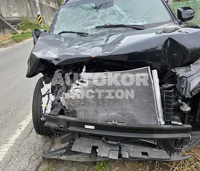 2024, Hyundai / Palisade, VIN: KMHR581EBRU786326, gas