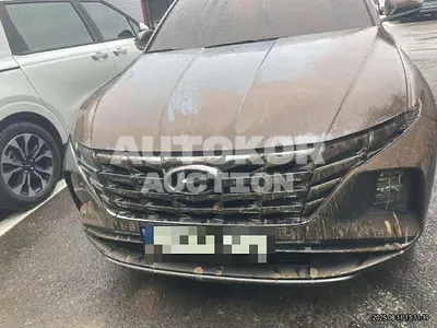 2023, Hyundai / Tucson, 30800 км., gas, 1600 куб.см.