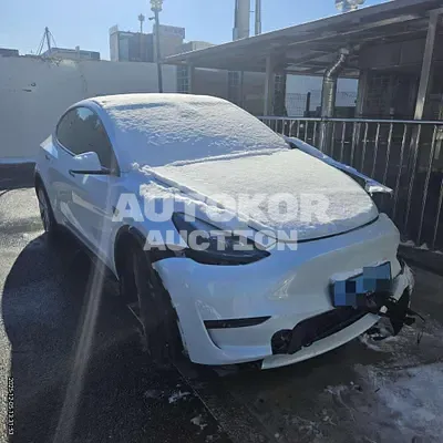 2023, Tesla / Model Y, electric