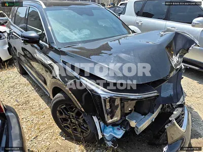 2025, Kia / Sorento, VIN: KNARH81GBSA380930, 6393 км., hybrid, 1598 куб.см.